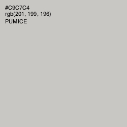#C9C7C4 - Pumice Color Image