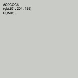 #C9CCC6 - Pumice Color Image