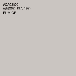 #CAC5C0 - Pumice Color Image