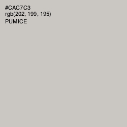 #CAC7C3 - Pumice Color Image