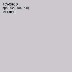 #CAC8CD - Pumice Color Image