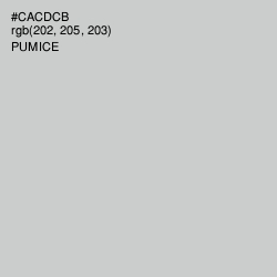 #CACDCB - Pumice Color Image