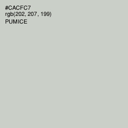 #CACFC7 - Pumice Color Image