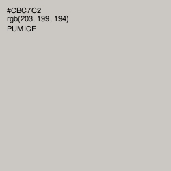 #CBC7C2 - Pumice Color Image