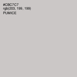 #CBC7C7 - Pumice Color Image