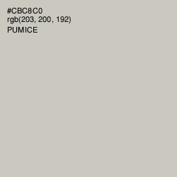 #CBC8C0 - Pumice Color Image