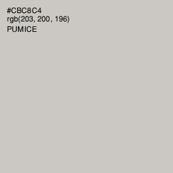 #CBC8C4 - Pumice Color Image