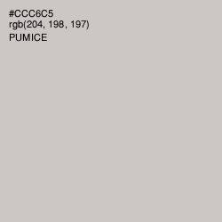 #CCC6C5 - Pumice Color Image