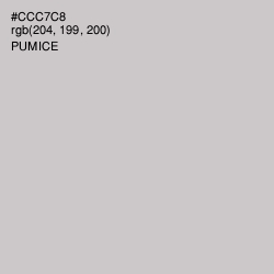#CCC7C8 - Pumice Color Image