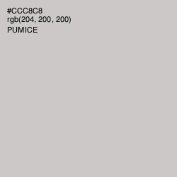 #CCC8C8 - Pumice Color Image