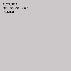#CCC8CA - Pumice Color Image