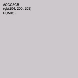 #CCC8CB - Pumice Color Image