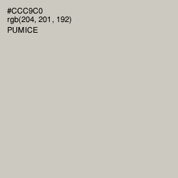 #CCC9C0 - Pumice Color Image