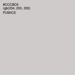 #CCCBC8 - Pumice Color Image