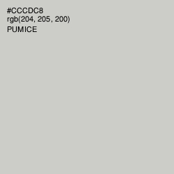 #CCCDC8 - Pumice Color Image