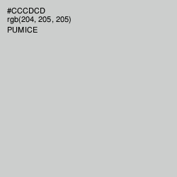 #CCCDCD - Pumice Color Image
