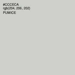 #CCCECA - Pumice Color Image