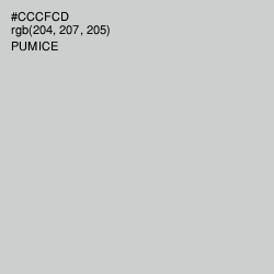 #CCCFCD - Pumice Color Image