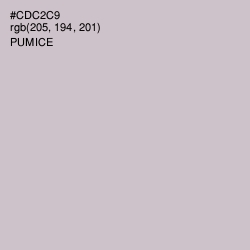 #CDC2C9 - Pumice Color Image