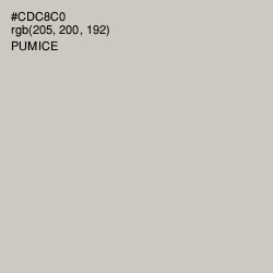 #CDC8C0 - Pumice Color Image