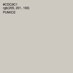 #CDC9C1 - Pumice Color Image