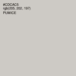 #CDCAC5 - Pumice Color Image