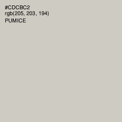 #CDCBC2 - Pumice Color Image