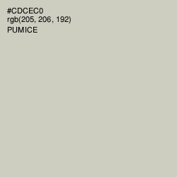 #CDCEC0 - Pumice Color Image