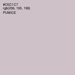 #CEC1C7 - Pumice Color Image