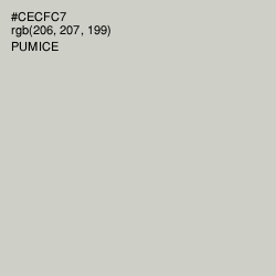 #CECFC7 - Pumice Color Image