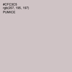 #CFC3C5 - Pumice Color Image