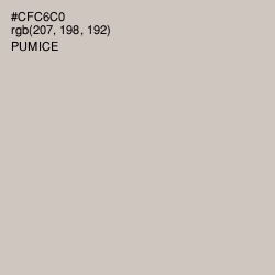 #CFC6C0 - Pumice Color Image