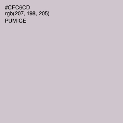 #CFC6CD - Pumice Color Image