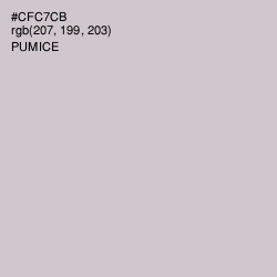 #CFC7CB - Pumice Color Image