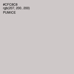 #CFC8C8 - Pumice Color Image