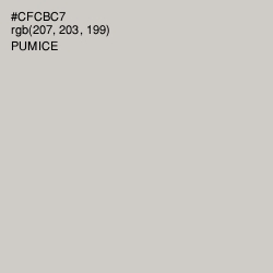 #CFCBC7 - Pumice Color Image