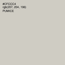 #CFCCC4 - Pumice Color Image