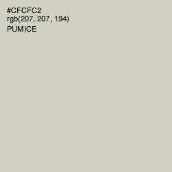 #CFCFC2 - Pumice Color Image