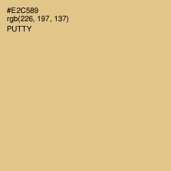 #E2C589 - Putty Color Image