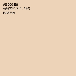 #EDD3B8 - Raffia Color Image