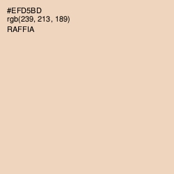 #EFD5BD - Raffia Color Image