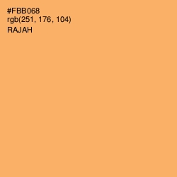 #FBB068 - Rajah Color Image