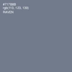 #717B8B - Raven Color Image