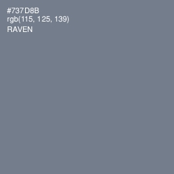 #737D8B - Raven Color Image