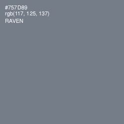 #757D89 - Raven Color Image