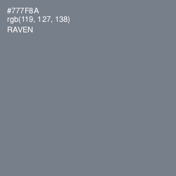 #777F8A - Raven Color Image