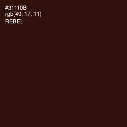 #31110B - Rebel Color Image