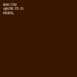 #3A1700 - Rebel Color Image