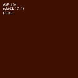 #3F1104 - Rebel Color Image
