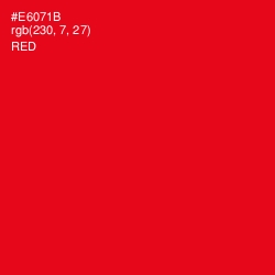 #E6071B - Red Color Image